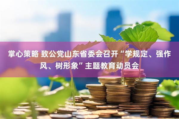 掌心策略 致公党山东省委会召开“学规定、强作风、树形象”主题教育动员会