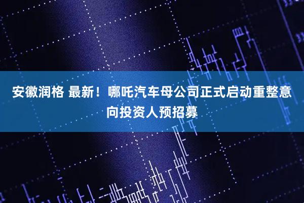 安徽润格 最新！哪吒汽车母公司正式启动重整意向投资人预招募