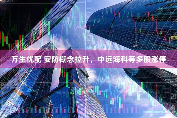 万生优配 安防概念拉升，中远海科等多股涨停