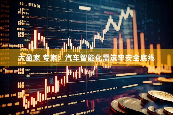 大盈家 专家：汽车智能化需筑牢安全底线