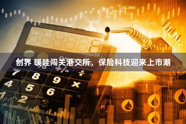 创界 暖哇闯关港交所，保险科技迎来上市潮