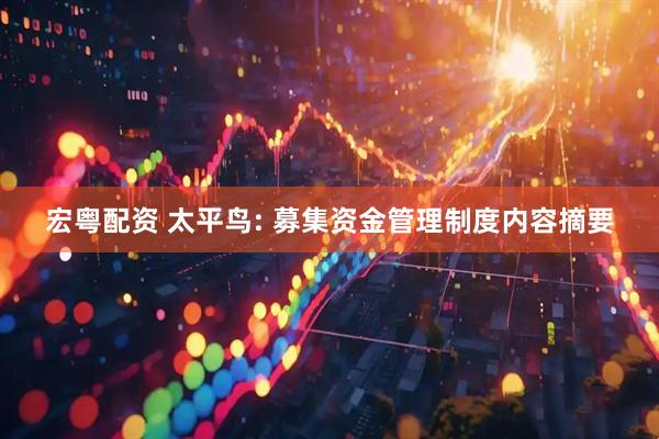 宏粤配资 太平鸟: 募集资金管理制度内容摘要