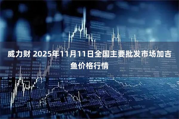 威力财 2025年11月11日全国主要批发市场加吉鱼价格行情