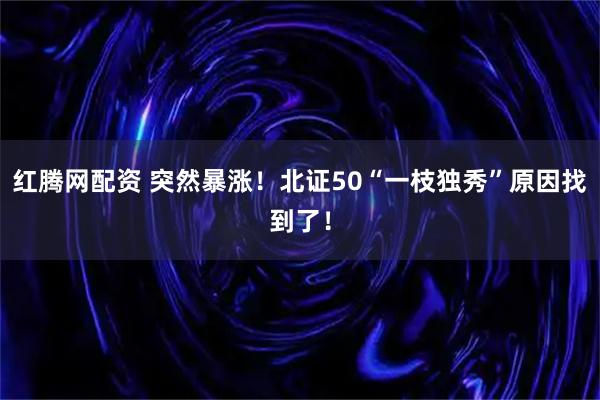 红腾网配资 突然暴涨！北证50“一枝独秀”原因找到了！