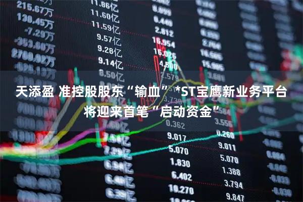 天添盈 准控股股东“输血” *ST宝鹰新业务平台将迎来首笔“启动资金”
